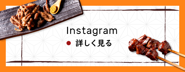 sp_half_bnr_instagram
